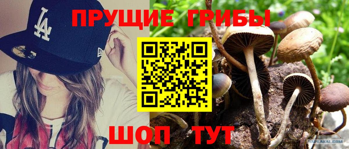 Галлюциногенные грибы ЛСД  Вход с VPN  Десногорск  Галлюциногенные грибы Cubensis 