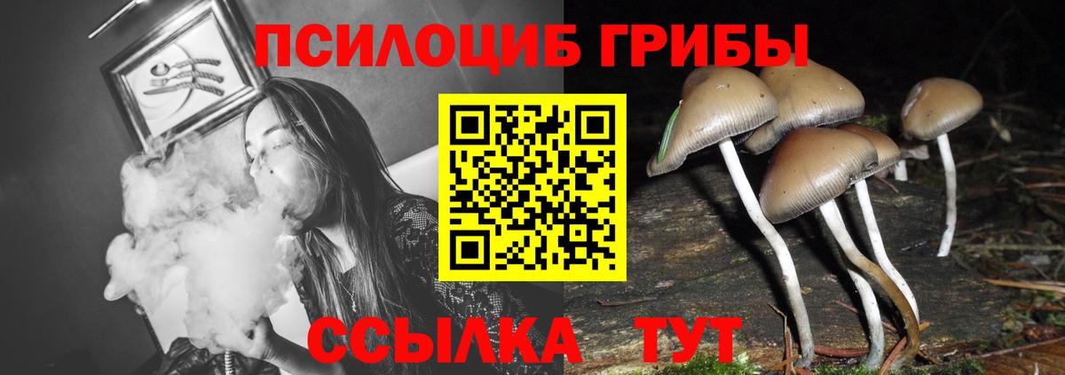 Галлюциногенные грибы GOLDEN TEACHER Десногорск